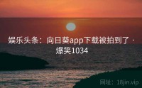 娱乐头条：向日葵app下载被拍到了 · 爆笑1034