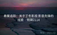 悬案追踪：关于丁冬影视 影音先锋的线索 · 特辑2114